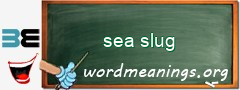 WordMeaning blackboard for sea slug